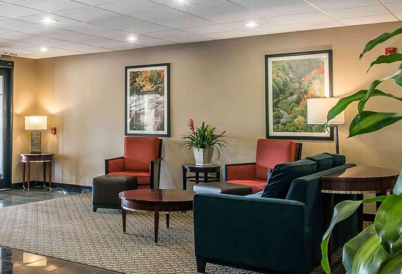 فندق Comfort Suites