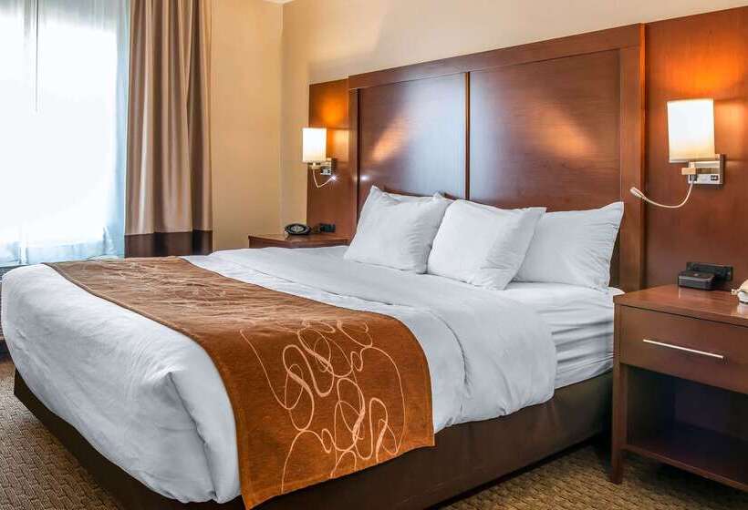 فندق Comfort Suites