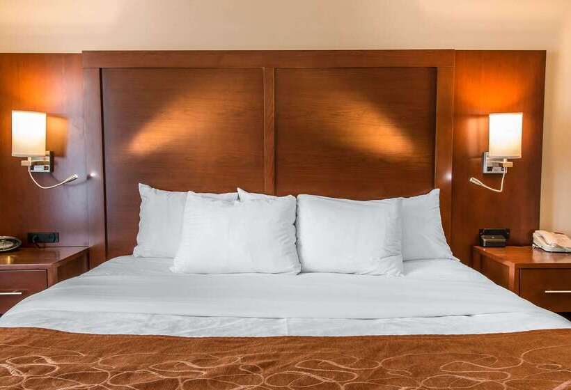 فندق Comfort Suites
