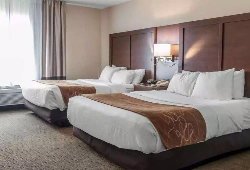 호텔 Comfort Suites