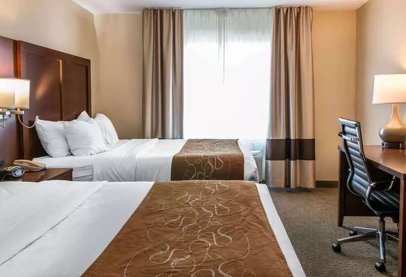 호텔 Comfort Suites