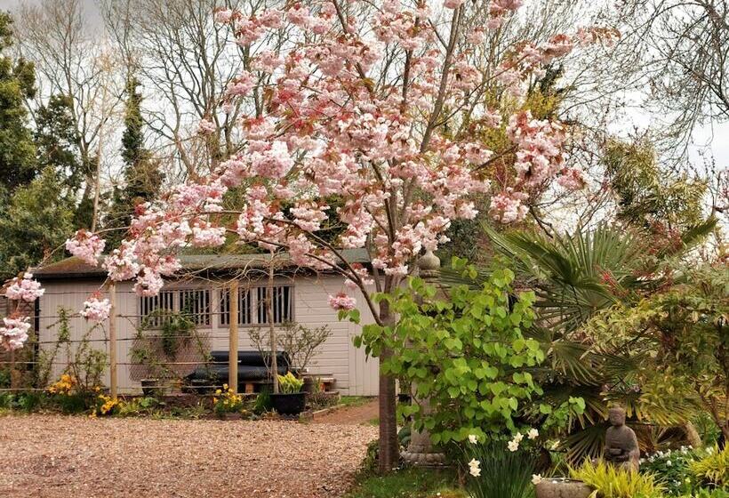 ホテル Little Dane Court