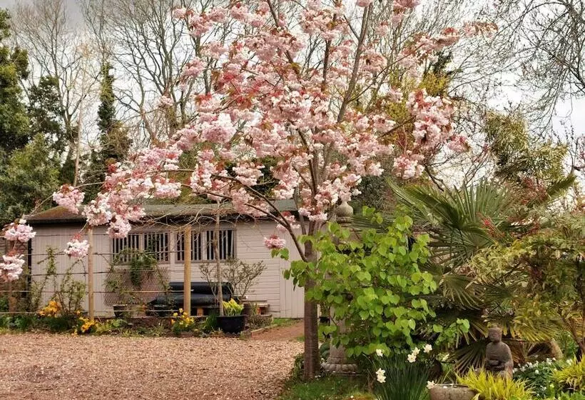 호텔 Little Dane Court