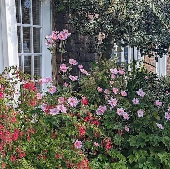 호텔 Little Dane Court