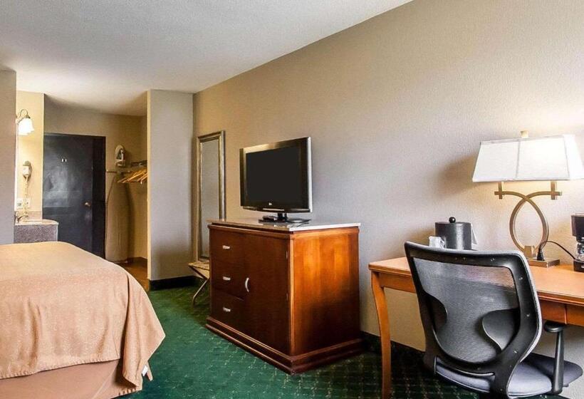 בית מלון כפרי Quality Inn Cairo I57