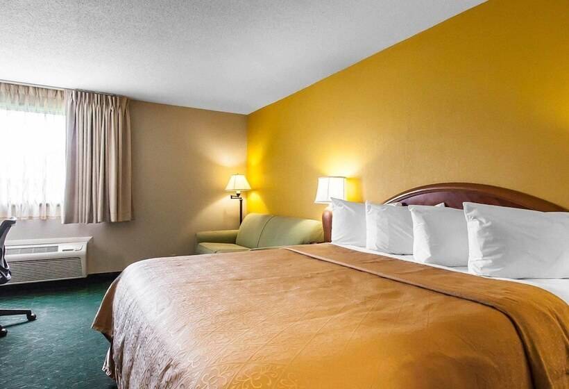 בית מלון כפרי Quality Inn Cairo I57