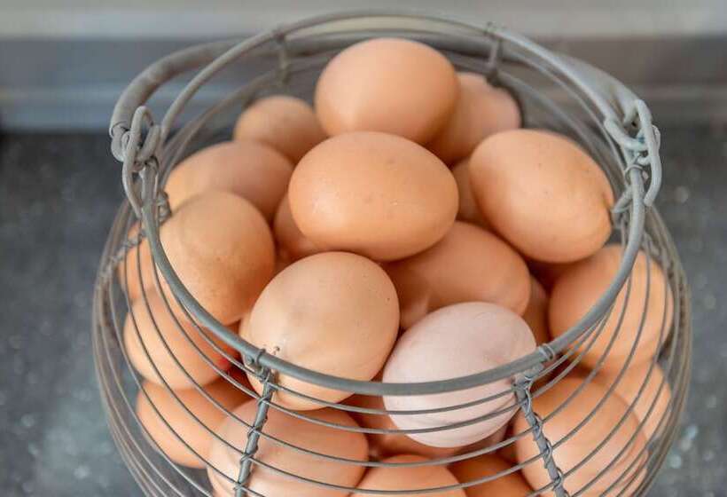 בית מלון כפרי Queens Drive At Finsbury Park