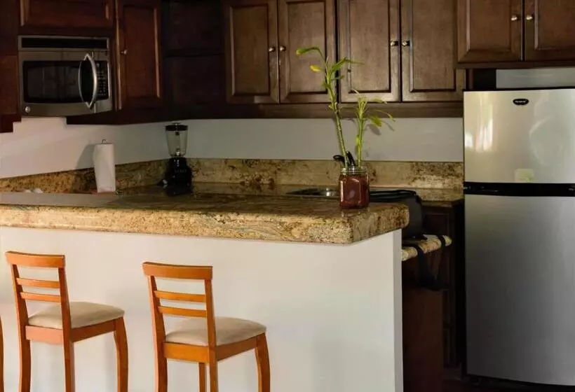 בית מלון כפרי San Angel Suites