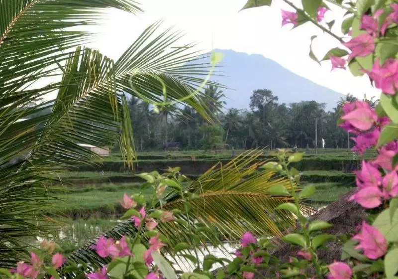 Terang Bulan Cottages