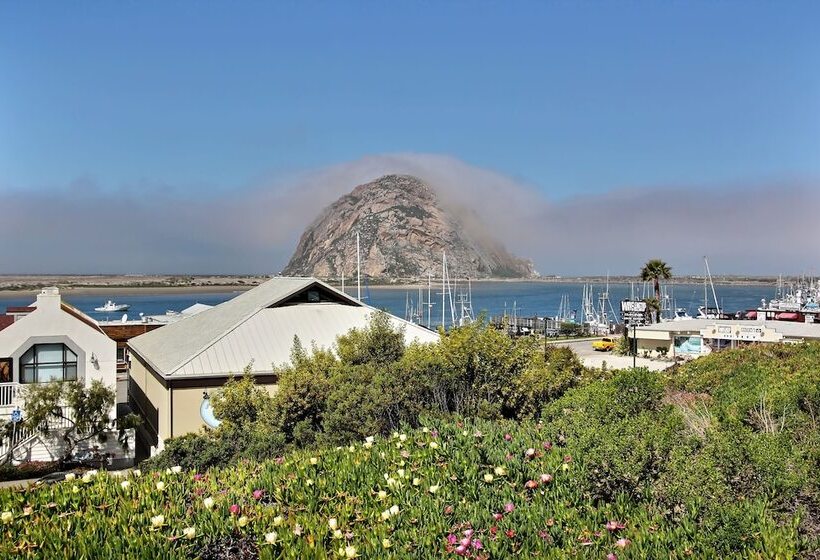 Отель Bay View Inn   Morro Bay