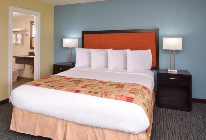 Отель Bay View Inn   Morro Bay