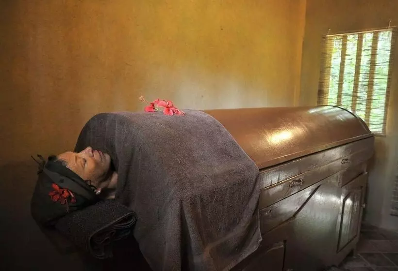 酒店 Dalmanuta Gardens