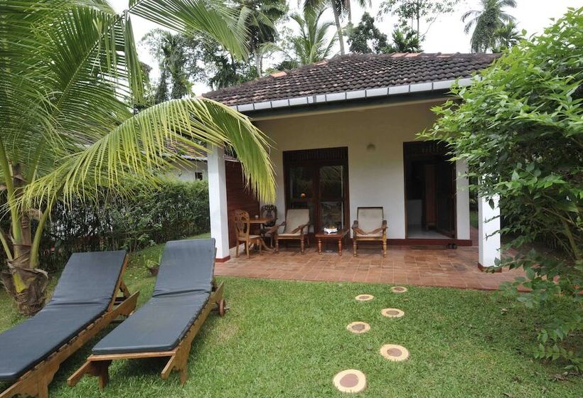 בית מלון כפרי Dalmanuta Gardens