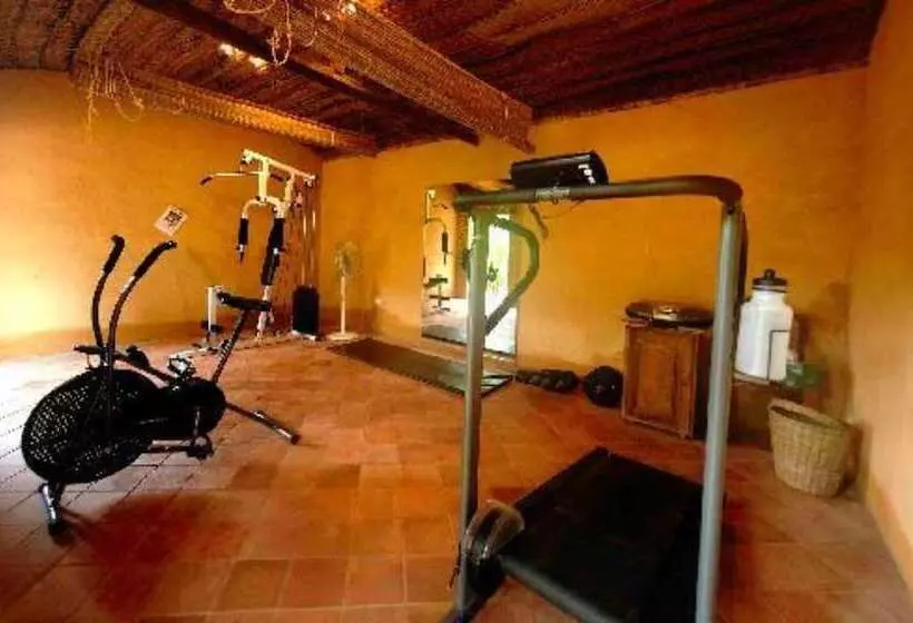 酒店 Dalmanuta Gardens