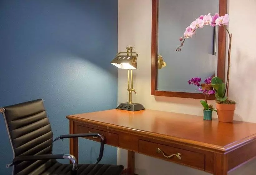 酒店 Federal City Inn & Suites