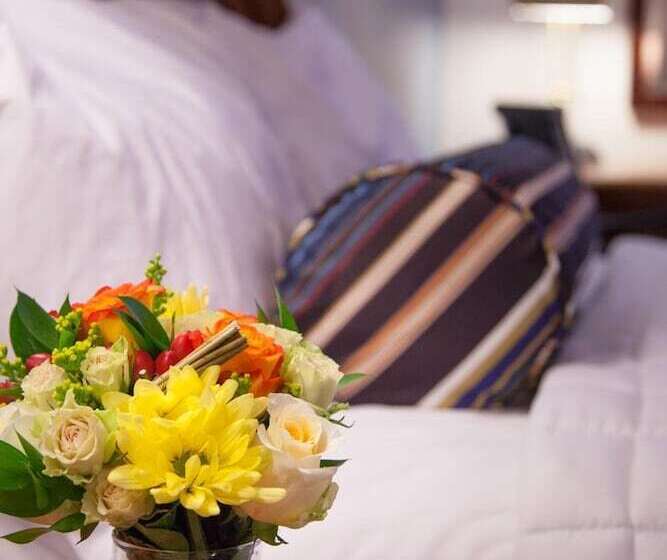 فندق Federal City Inn & Suites