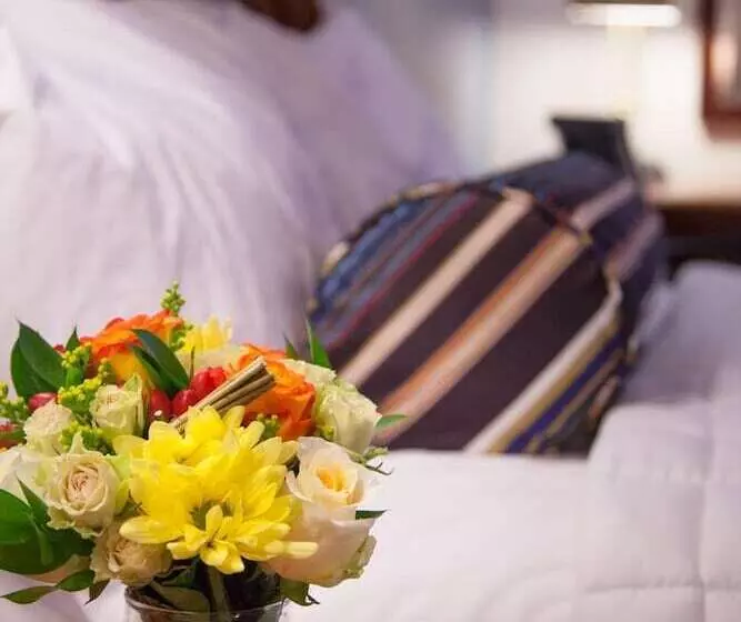 酒店 Federal City Inn & Suites