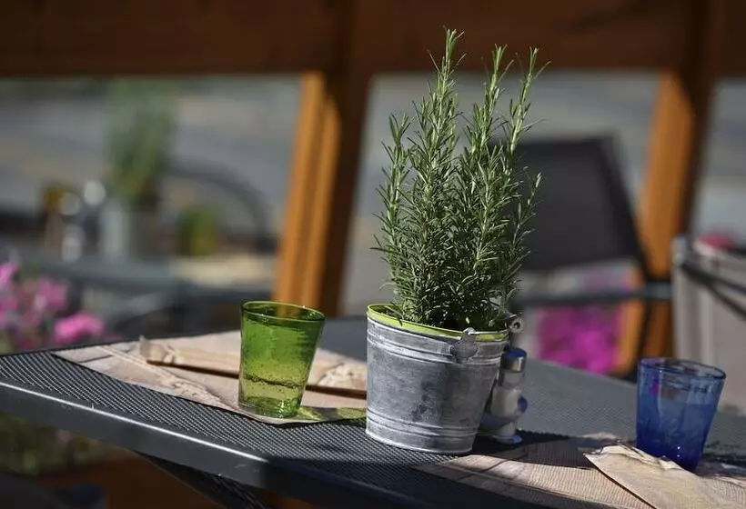 Отель Galli S   Centro