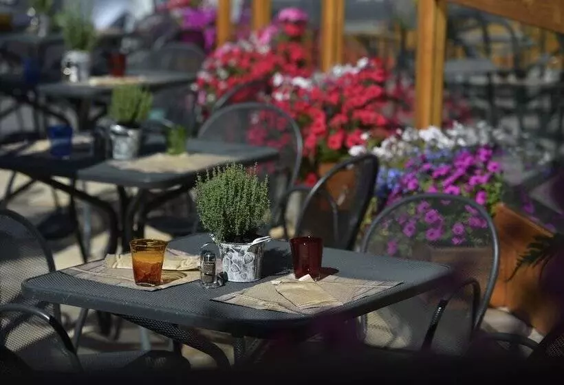 Отель Galli S   Centro