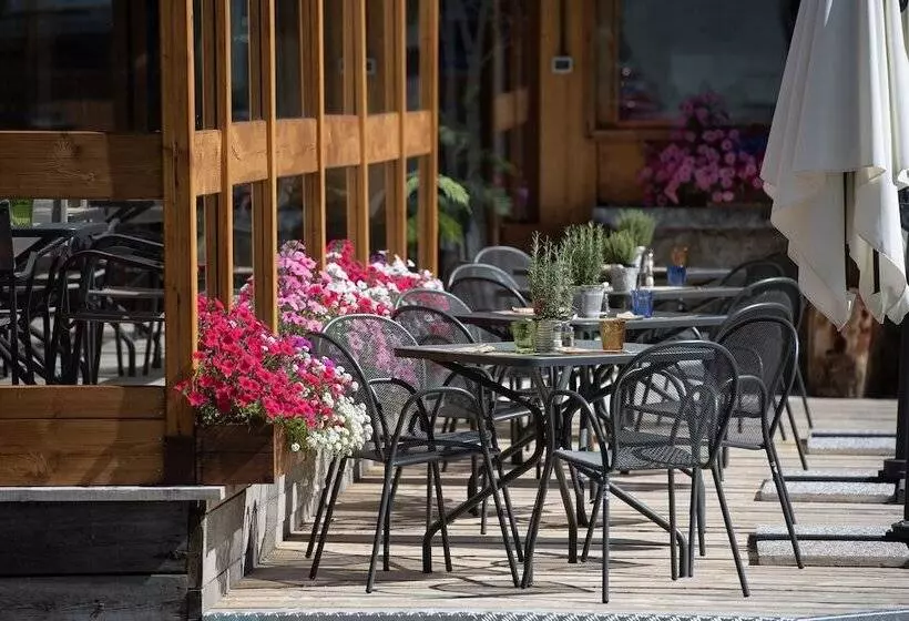 Отель Galli S   Centro