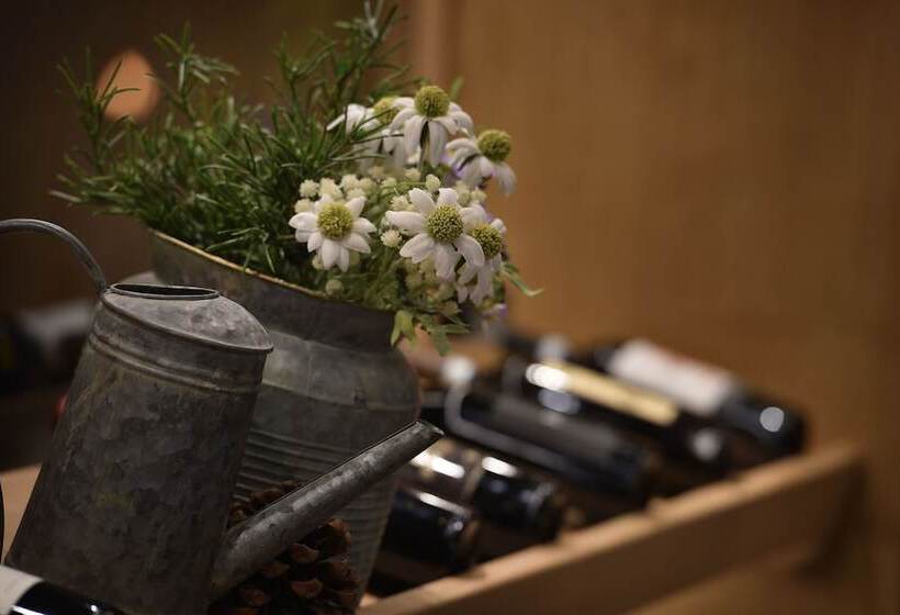 فندق Galli S   Centro