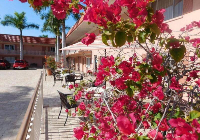 ホテル Hibiscus Suites  Sarasota