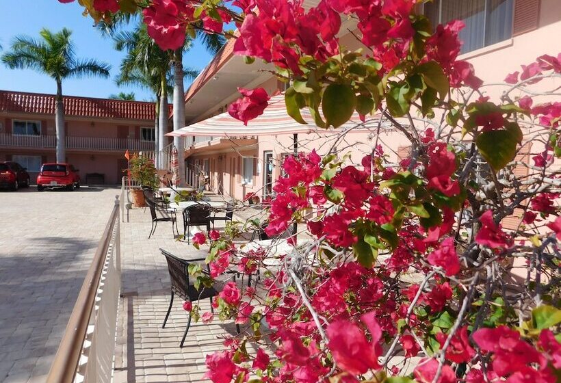 ホテル Hibiscus Suites  Sarasota