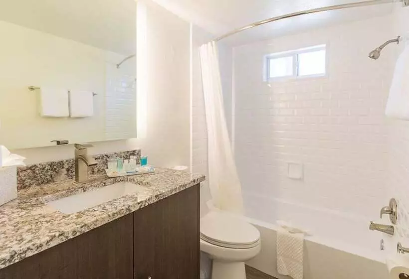 酒店 Hibiscus Suites Sarasota