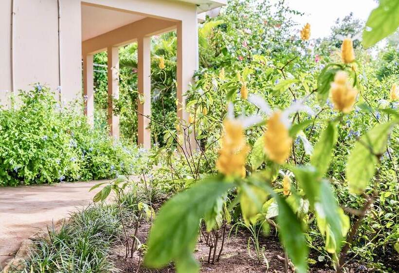 هتل The Westender Inn