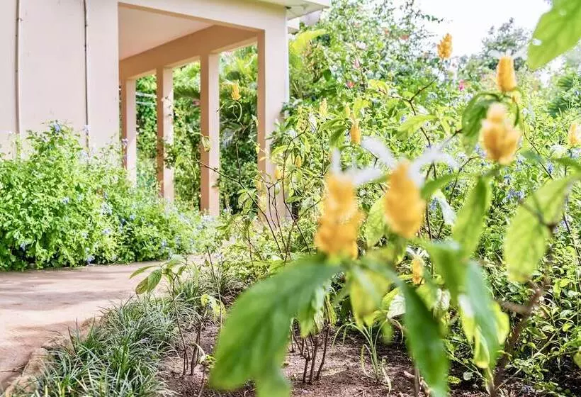 酒店 The Westender Inn