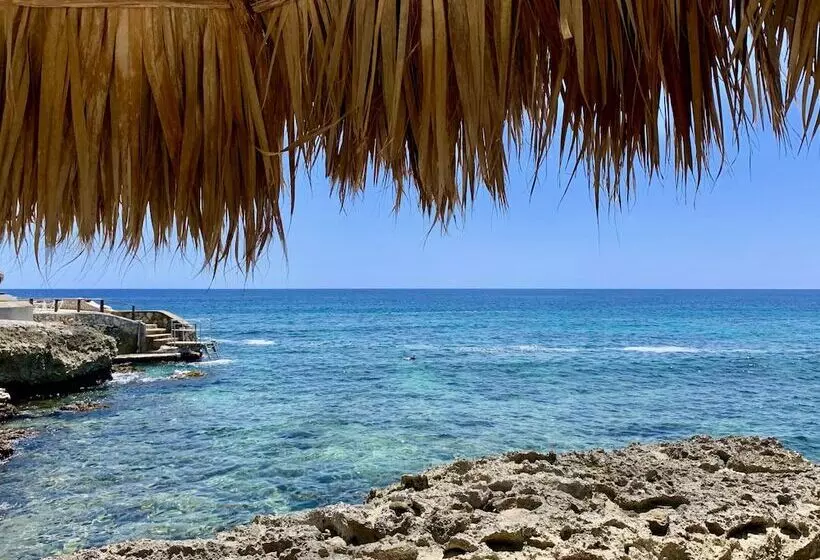 酒店 The Westender Inn