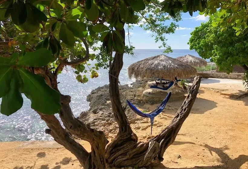 酒店 The Westender Inn