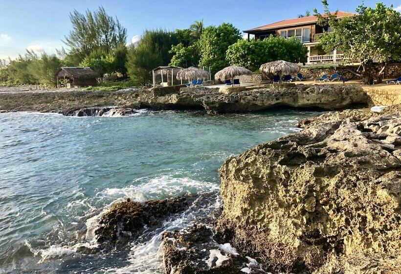 هتل The Westender Inn