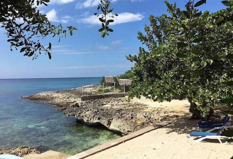 هتل The Westender Inn