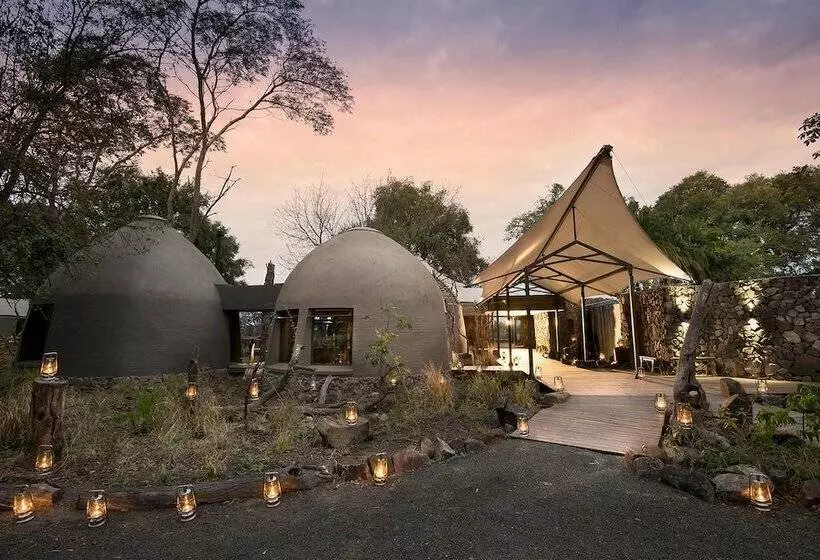 هتل Thorntree River Lodge