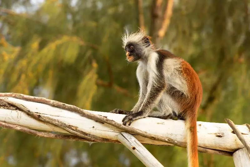 Paradise Beach Resort & Spa