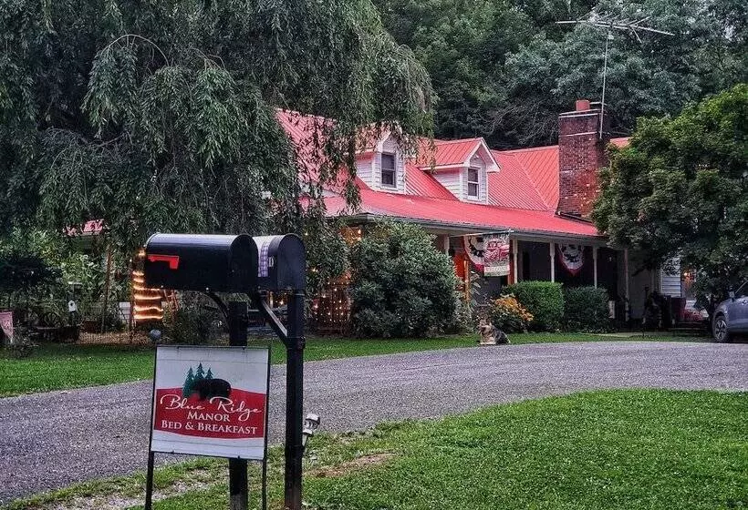 Blue Ridge Manor B&b