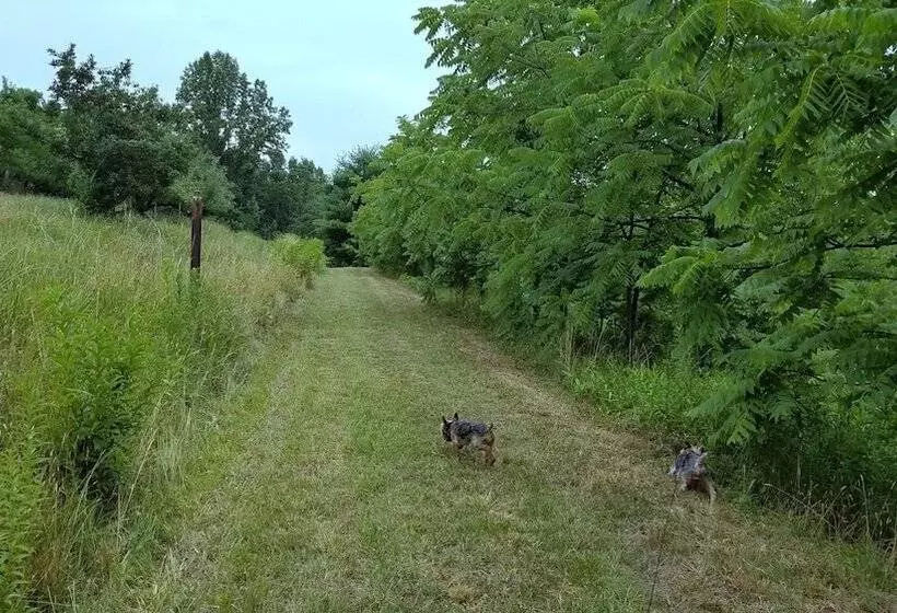 Blue Ridge Manor B&b