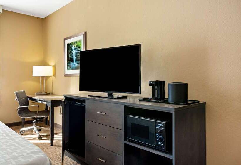 בית מלון כפרי La Quinta By Wyndham Boone