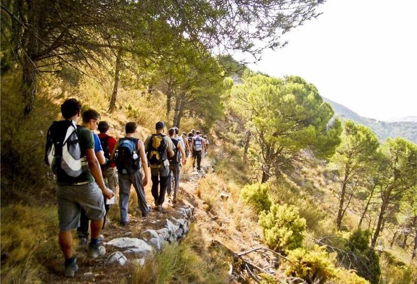 Отель Rishikesh Valley