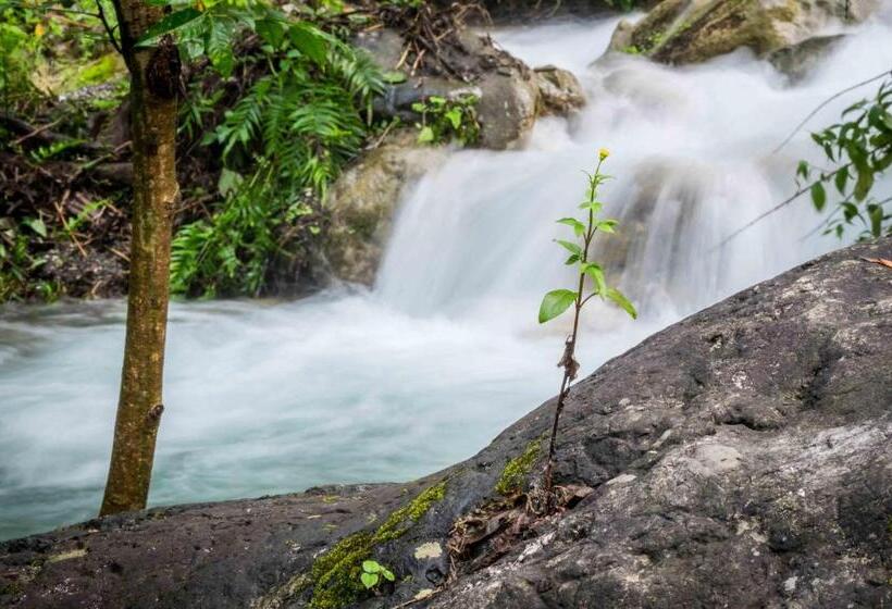 Отель Rishikesh Valley