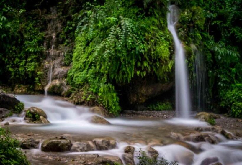 Отель Rishikesh Valley
