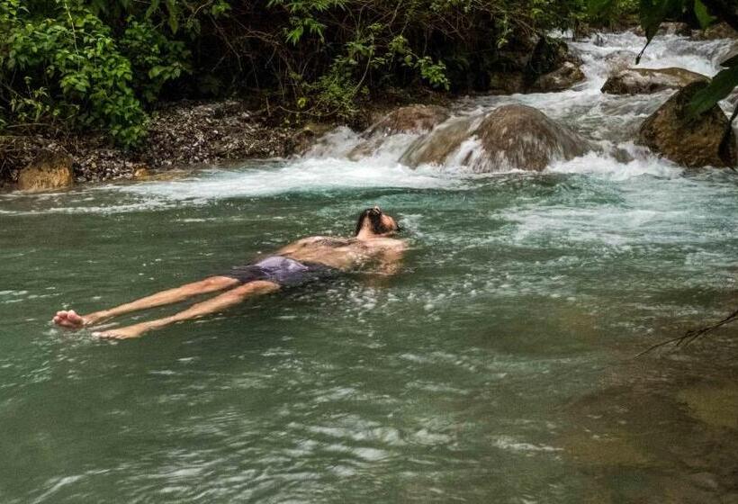 Отель Rishikesh Valley