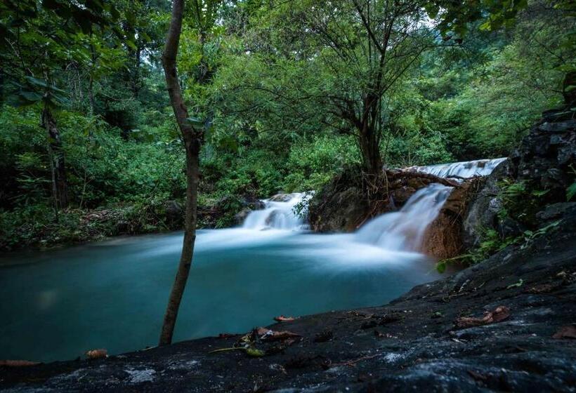 Отель Rishikesh Valley