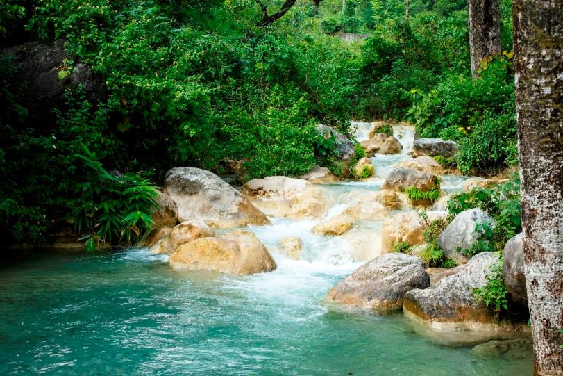 Отель Rishikesh Valley