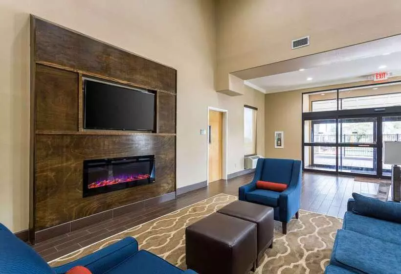 酒店 Comfort Inn & Suites Airport