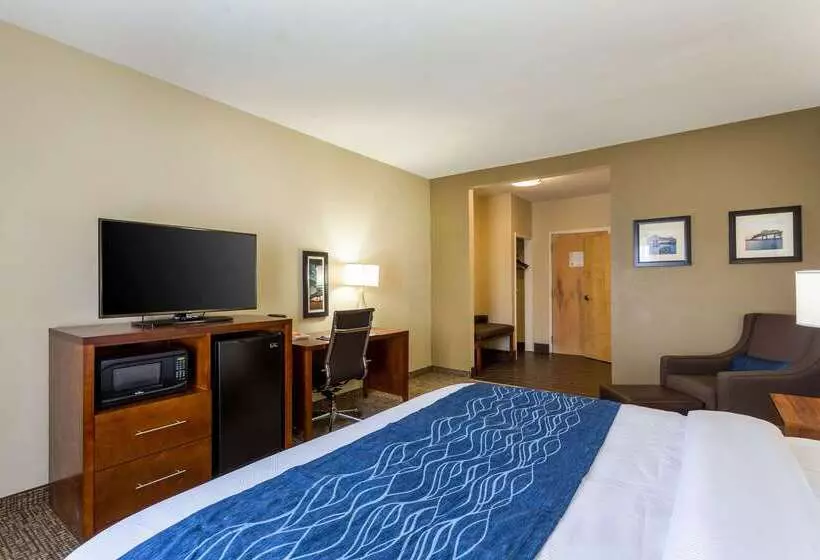 酒店 Comfort Inn & Suites Airport