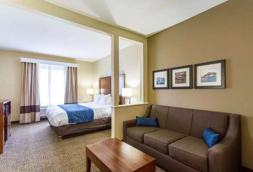 酒店 Comfort Inn & Suites Airport