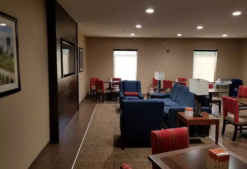 酒店 Comfort Inn & Suites Airport