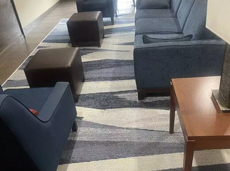 酒店 Comfort Inn & Suites Airport